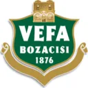 VEFA Discord server icon