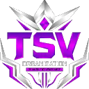 TEAM SILENT VENGEANCE