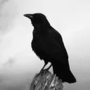 Crowstan