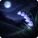 𝒩𝒾𝑔𝒽𝓉 𝐵𝓁𝑜𝑜𝓂🌸 Discord server icon