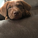 ʚMarz's Stuffed Animalsɞ Discord server icon