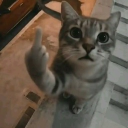 TalentSAB Discord server icon