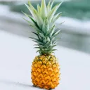 Pineapple's MudHut