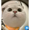 Máy chủ của Phat Discord server icon