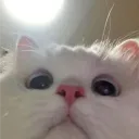 𝑪𝒉𝒖𝒓𝒄𝒉 𝒐𝒇 𝑳𝒆𝒄𝒉𝒆