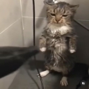 빡세군 Discord server icon