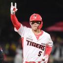 야구 소통서버⚾