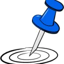 Needle
