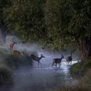 𓆝◟٠࣪ 𓂃 where rivers meet