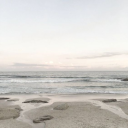 𖦹 . . . ۶ৎ 　★ 　𝓤𝐍𝐈𝐕𝐄𝐑𝐒𝐀𝐋 𝓐𝐏𝐏𝐄𝐀𝐋 Discord server icon