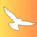 Falcon Simulations