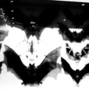 ♰ 𓏼  withered◞ ⧼🦇