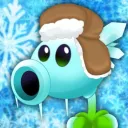 KOLLORSS (PVZ)