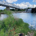 Texas therians 18+ Discord server icon