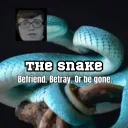 The Snake