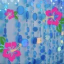 🪸 𖦹﹒CORAL COVE 🌺  ➷