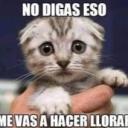 LaParvaLEAL