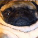 milk me Discord server icon