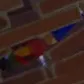 Carpet Smp/ Fortnite