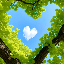 𝓢𝓪𝓪𝓷𝓳𝓱 𑣲 Discord server icon