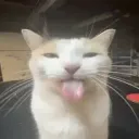 Souless Raids [BACK!]'s icon