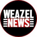 Weazel News - Wise FA
