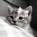 ..