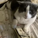 Guhcat Central