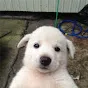 ㄹㅈㄷ희귀자료섭