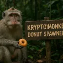 🐒 krytoimonkey's donut spawners (+giveaways)