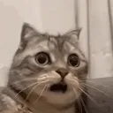 BIG RANDOM SERVER FOR FRIENDS Discord server icon