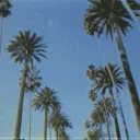 𝐂𝐈𝐓𝐘 𝐎𝐅 𝐋𝐀