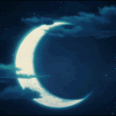 / MOON SOCIETY •🌺TM || In...