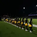 Royal Pantherettes ππ€