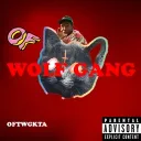 • Wolfgang •