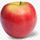 Official Apple Holdable Program