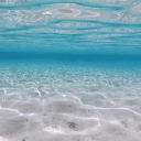 4 ✦ szns Discord server icon