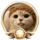 .•:•:•:•:•:•☾🐈𝐆𝐚𝐭𝐢𝐭𝐨𝐬 𝐔𝐧𝐢𝐭𝐲☼𝐔𝐧𝐢𝐯𝐞𝐫𝐬𝐚𝐥🐈☽•:•.•:•.•:•:•