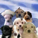 Server Icon