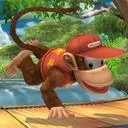 Diddy Kong Kollege: PM diddy