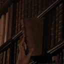 The Library of Acrimony