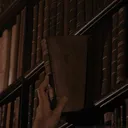 The Library of Acrimony