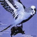 Violet Theatre