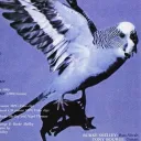Violet Theatre
