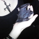bat cave ཐི^.  ̞.^ཋྀ