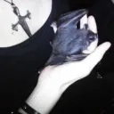 bat cave ཐི^.  ̞.^ཋྀ