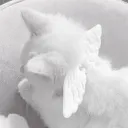 ʚ 𝑨𝑵𝑮𝑬𝑳𝑺 ɞ