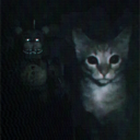 /goatverse Discord server icon