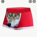 mede studio Discord server icon