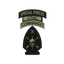 C Co, 3rd Btn, 10th SFG (A)